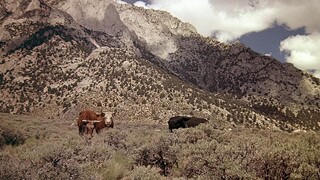 Tremors  1990