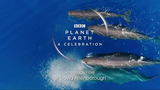 Planet Earth: A Celebration 2020 • Documentary