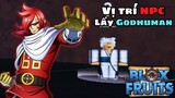 Roblox-Vị Trí Của NPC Lấy Godhuman(Superhuman v2) Trong Blox Fruit Update 17.3