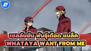 [เซลล์ขยัน พันธุ์เดือด แบล็ค ][2153/1677]Whataya want from me_2