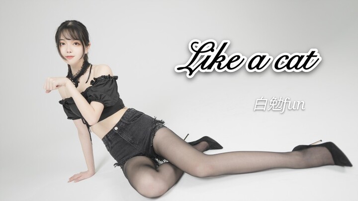 【白勉Fun】Like a cat-猫步轻俏