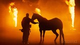A horse covered with oil | Jarhead | CLIP
