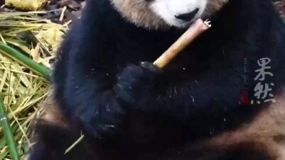 Li, Bu and six others are banned from entering for life!