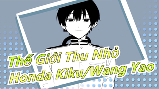 [Thế Giới Thu Nhỏ/Vẽ tay/MAD]  Honda Kiku/Wang Yao|Nguồn gốc của tôi và cậu|Sinh nhật Honda Kiku