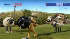 MNCTV HD • SHAUN THE SHEEP • TIDY UP • PART 01 • MINGGU 20 JANUARI 2025