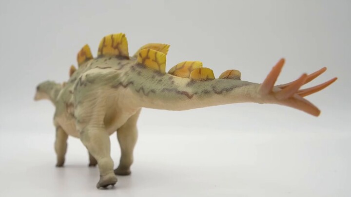 Mengungkap rahasia dinosaurus Wuerhesaurus yang tidak populer, model baru dari Haolonggu