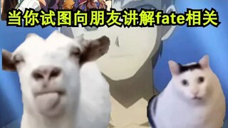 当你试图向朋友讲解Fate相关