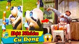 7 Bí Mật Kinh Ngạc Về Thú Nhồi Bông Chỉ Dân Chơi Liều Mình Mới Dám Chơi I Vivu Thế Giới