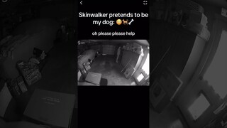 Skinwalker DISGUISED as DOG 🐕😳