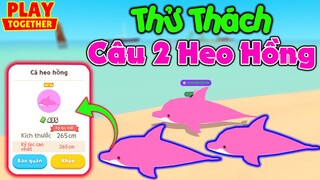 Play Together | THỬ THÁCH SIÊU KHÓ - Câu 2 Con Heo Hồng Trong Vòng Một Buổi :v