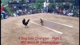 4 Stag Solo Champion - Fight 3  RPG Black GF (MarinduQue)