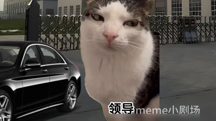เมื่อคนรุ่นหลังปี 2000 ออกเดินทางเพื่อธุรกิจกับเจ้านายเป็นครั้งแรก