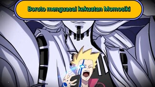 BORUTO MENGUASAI KEKUATAN RAMALAN MOMOSIKI __FAKTA  DAN HAL ANEH TENTANG BORUTO