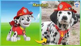Paw Patrol ALL Characters In Real Life