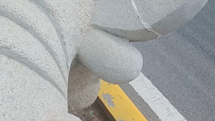 “拉姐，你也不希望牛牛被我骑吧？”