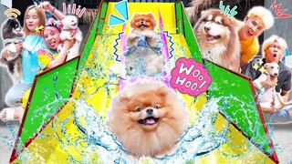 สร้างสไลเดอร์ลงน้ำให้แก๊งหมี!! สวนน้ำส่วนตัวในสตู!