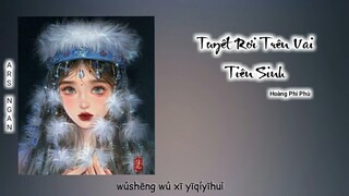 Tuyết Rơi Trên Vai Tiên Sinh (雪落在先生肩上) - Hoàng Phi Phù