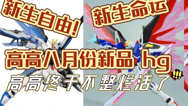 (Re) Hahahahao Gao·Cuối cùng thì không còn xui xẻo nữa hg New Freedom Gundam New Life Destiny Gundam