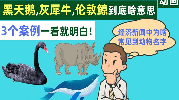 黑天鹅，灰犀牛，伦敦鲸，经济中常见的动物名词到底啥意思，几个案例一看就明白【动画】
