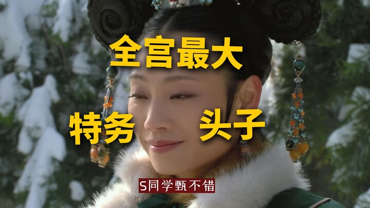 皇城十二宫，宫宫有我人【甄嬛传 中译中】270一个人，就是一群牛马！最大的特务头子