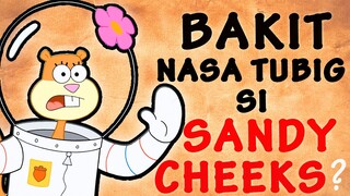 MAGUGULAT KA KUNG BAKIT NASA TUBIG SI SANDY CHEEKS | SpongebobSerye (Vol. 6) | Dokumentador