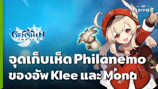 Genshin Impact จุดหาเห็ด Philanemo Mushroom ของอัพ Klee และ Mona