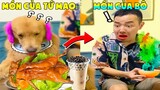 Thú Cưng Vlog | Tứ Mao Ham Ăn Đại Náo Bố #21 | Chó gâu đần thông minh vui nhộn | Smart dog funny pet