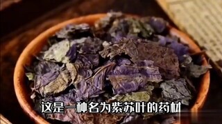 论动物给人带来的启发