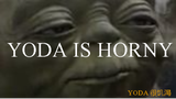 Master Yoda gives Advice!