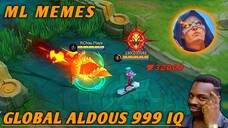 Global Aldous 999 IQ WTF......ML MEMES