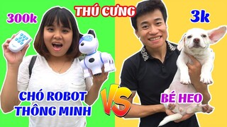 CHÓ ROBOT THÔNG MINH NHÀ GIÀU 300K VS CHÓ NUÔI NHÀ NGHÈO 3K CÓ GÌ KHÁC NHAU???