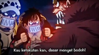 lawan yonkou panik ? lawan yonkou izz dulu gk siee🗿