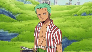 ZORO WON'T LOST IN SABAODY