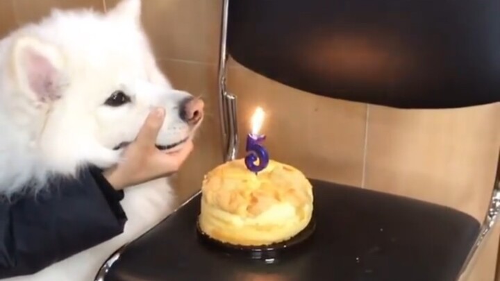 Blow your own candles