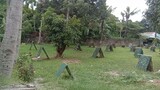 chito farm Ang linis at puro ung mga manok super pa san Vicente bulacan#farm#viralvideo#