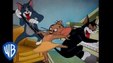 Tom y Jerry en Latino | Diversión en casa |  @WBKidsLatino