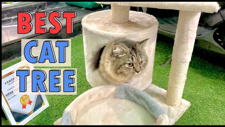 Cat Tree - Nhà Cây Cho Mèo Kèm Trụ Cào Móng