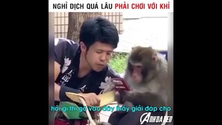 Nghỉ Dịch Quá Lâu Phải Chơi Với Khỉ