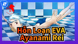 [Hỗn Loạn EVA] Bản cắt của Ayanami Rei (tập1-11)_2