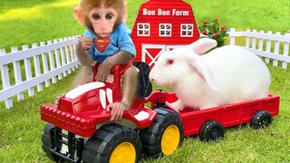 Baby rabbit lost in the forest is returned by Baby Monkey Bon Bon by farm car