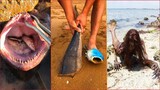Catching Seafood 🦀 Satisfying Sea Animals #261