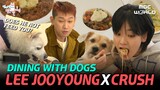 [C.C.] LEE JOOYOUNG & CRUSH enjoying a brunch date with their dogs! #LEEJOOYOUNG #CRUSH