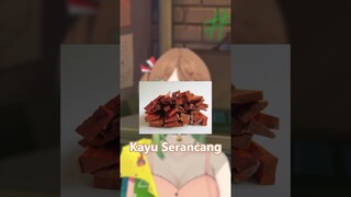 Minum bir tapi ga bikin mabuk? - BIR PLETOK #shorts #vtuber