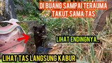 Allahu Akbar Kucing Ras Terauma Karena Di Buang Lihat Tas Kucing Langsung Kabur..!