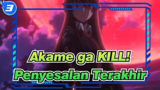 Akame ga KILL! | Penyesalan Terakhir_3