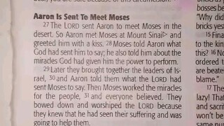 Daily Verse.                  Exodus 4:27-31