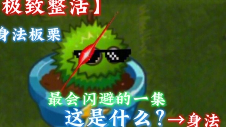 【极致整活】---最有身法的一集