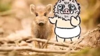 [Sát quỷ cát 8]