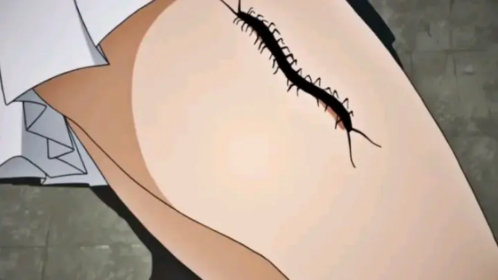 Anime|Anime Spoof|Chickens Are Nemesis of Centipedes