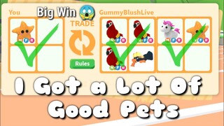 What People Trade For Mega Starfish | +GIVEAWAY | Roblox AdoptMe!